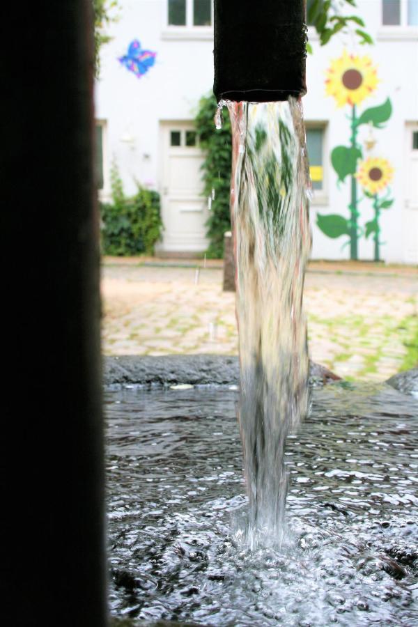 Zentrale Ferienwohnung Anker Im Sonnenblumenhaus Flensburg Exteriér fotografie